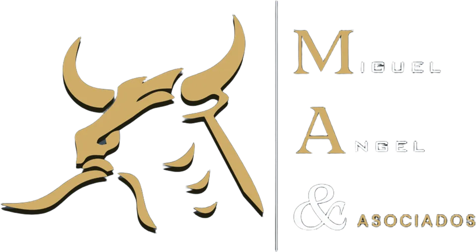 Logo de Miguel Ángel & Asociados